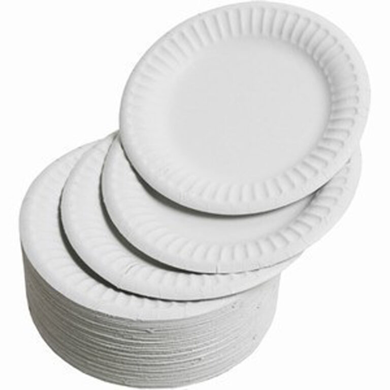 Paper Plates 6 inch (100)