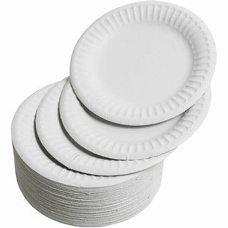9-inch disposable paper plates, pack of 100