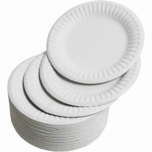 9-inch white paper plates, bulk pack of 1000 disposable plates