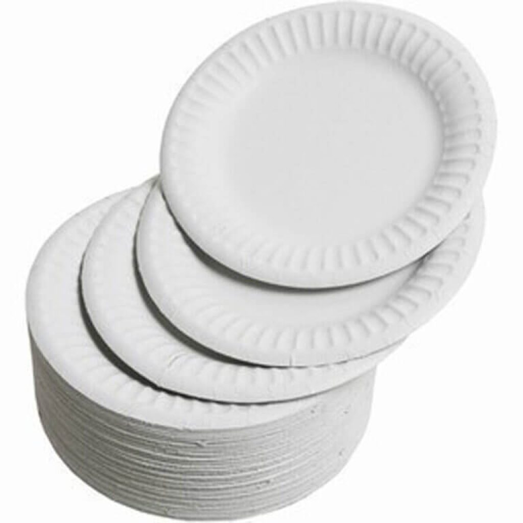 9-inch white paper plates, bulk pack of 1000 disposable plates